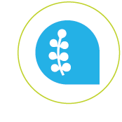 Collegiate Logo