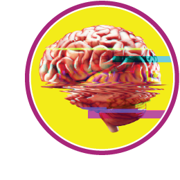 Brain Photo